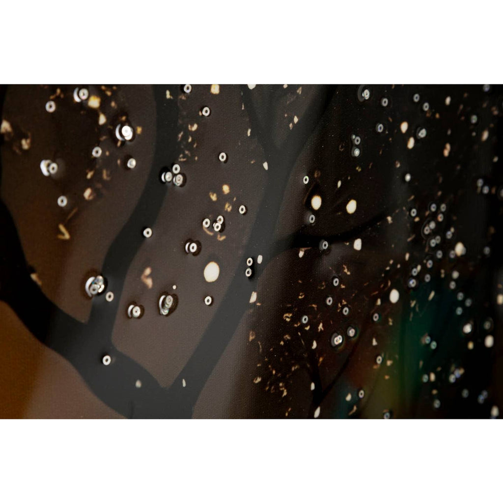 Tableau Paon sur Toile – Bois d'Épicéa 70x100 cm | Art Mural Moderne